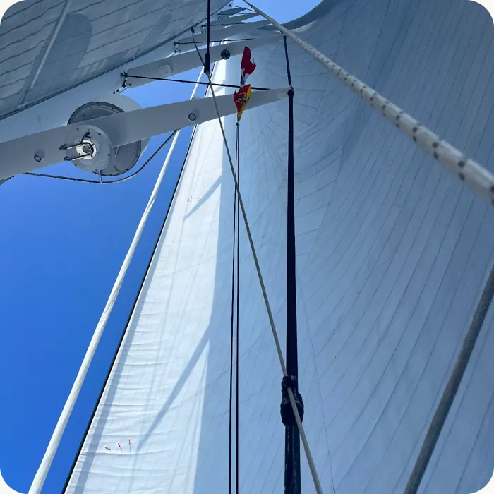 Looking up the mast at the mainsail